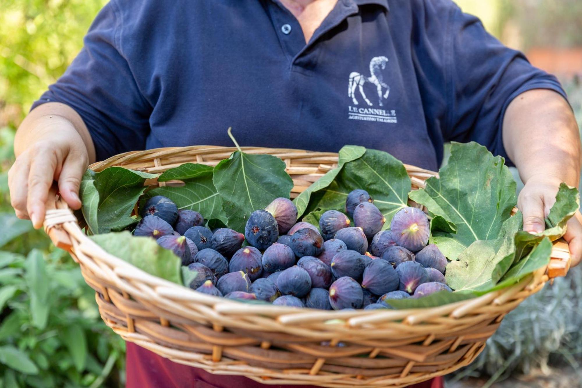 Bauernhof Azienda Agricola Club Le Cannelle *